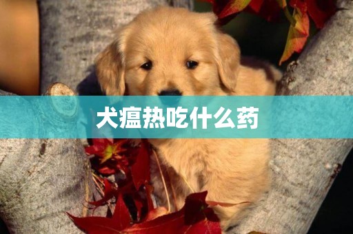 犬瘟热吃什么药